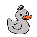gray duck